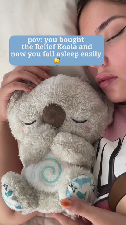The Relief Koala